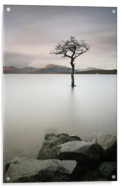 Loch Lomond Tree Acrylic by Grant Glendinning