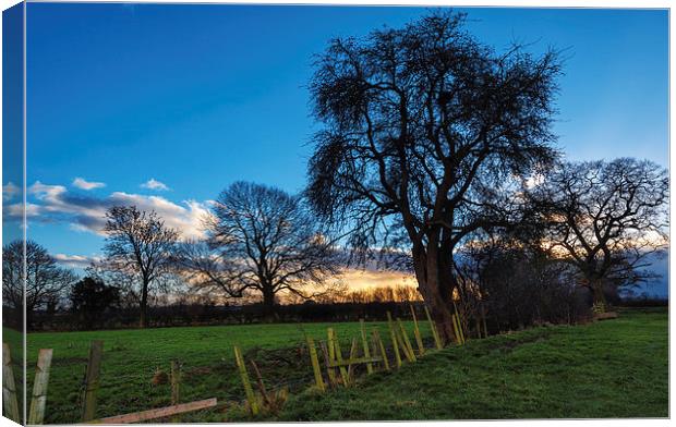 Winter Sunset Trees County Durham Canvas Print by Greg Marshall
