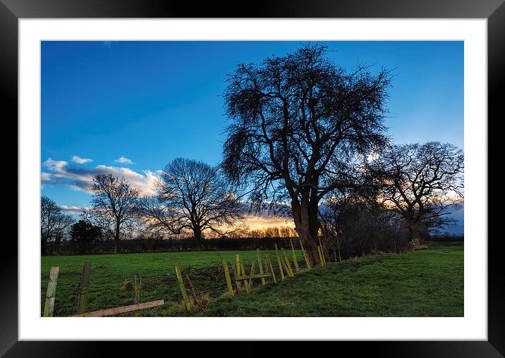 Winter Sunset Trees County Durham Framed Mounted Print by Greg Marshall
