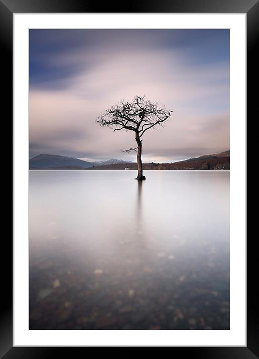 Loch Lomond Tree Framed Mounted Print by Grant Glendinning