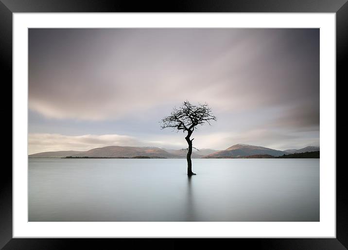 Loch Lomond Tree Framed Mounted Print by Grant Glendinning