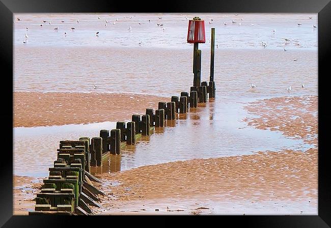 Cleethorpes Beach IN Autumn Framed Print by philip milner