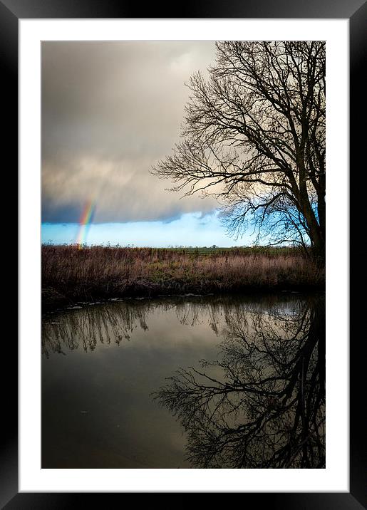 Rainbow Sleepy Hollow Tree Framed Mounted Print by Greg Marshall