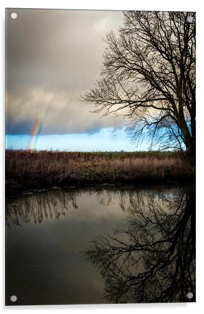 Rainbow Sleepy Hollow Tree Acrylic by Greg Marshall