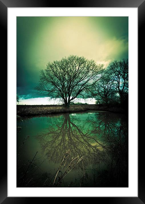 Gothic Sleepy Hollow Tree Reflection Framed Mounted Print by Greg Marshall