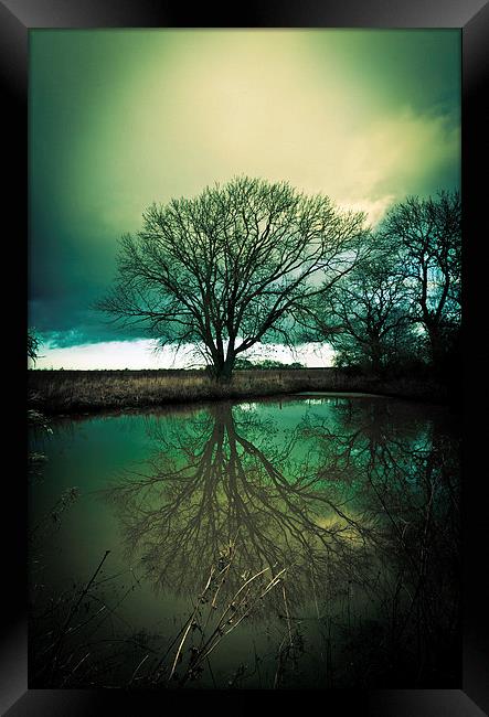 Gothic Sleepy Hollow Tree Reflection Framed Print by Greg Marshall