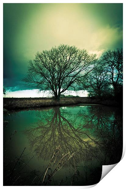 Gothic Sleepy Hollow Tree Reflection Print by Greg Marshall