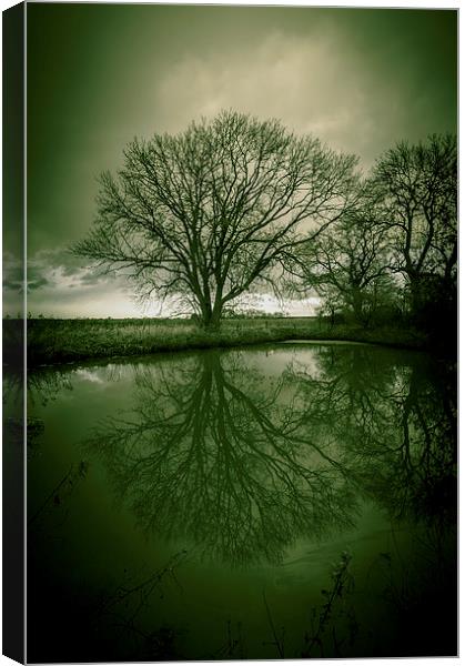 Sleepy Hollow Green Tree Reflection Canvas Print by Greg Marshall