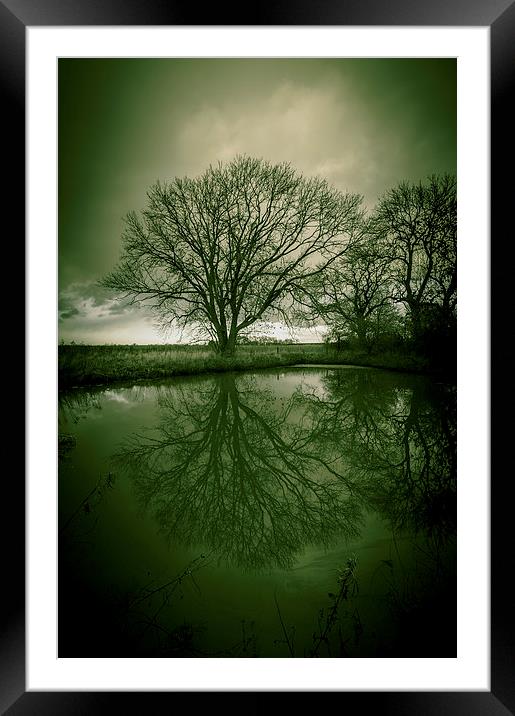 Sleepy Hollow Green Tree Reflection Framed Mounted Print by Greg Marshall