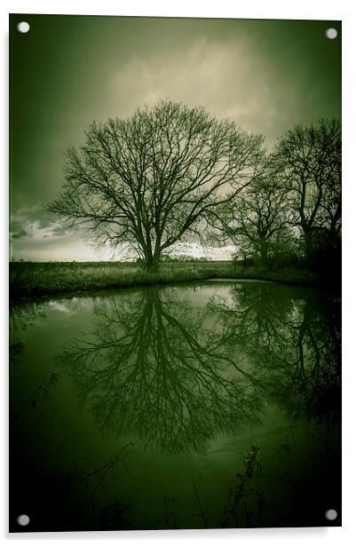 Sleepy Hollow Green Tree Reflection Acrylic by Greg Marshall