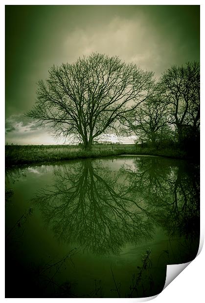Sleepy Hollow Green Tree Reflection Print by Greg Marshall