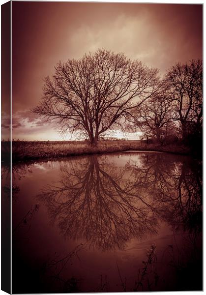 Sleepy Hollow Red Tree Reflection Canvas Print by Greg Marshall