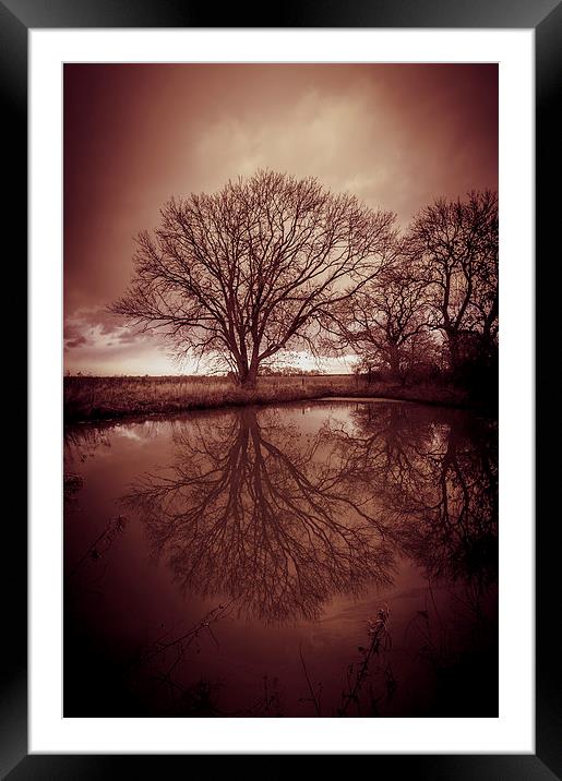 Sleepy Hollow Red Tree Reflection Framed Mounted Print by Greg Marshall