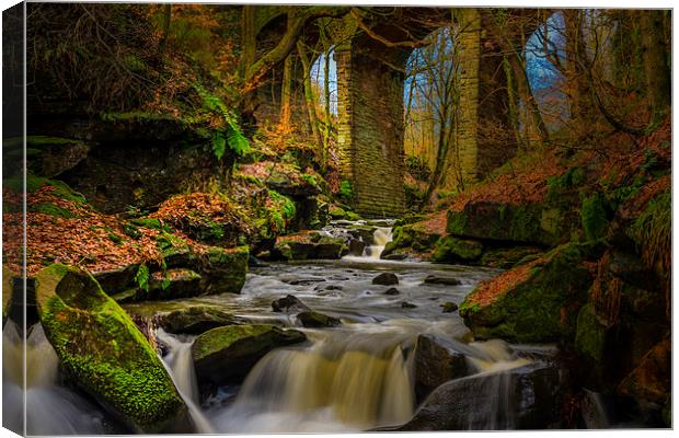 Healey Dell Canvas Print by Steven Purcell