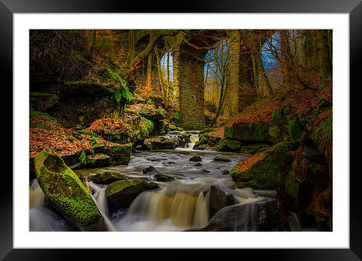 Healey Dell Framed Mounted Print by Steven Purcell
