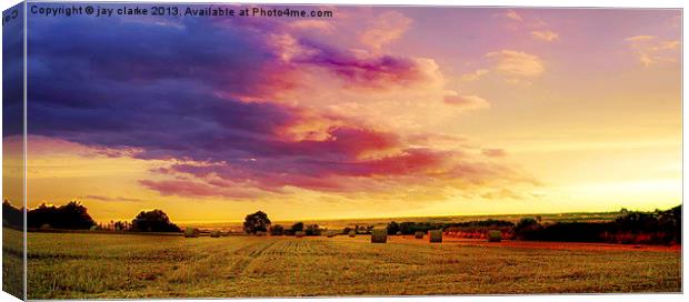the colour purple Canvas Print by jay clarke