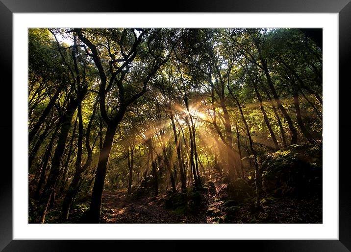 Guided by the light Framed Mounted Print by Greg Marshall