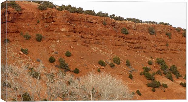 Red sandstone cliff 0646 Canvas Print by Don Brady
