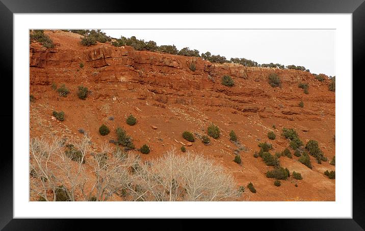 Red sandstone cliff 0646 Framed Mounted Print by Don Brady