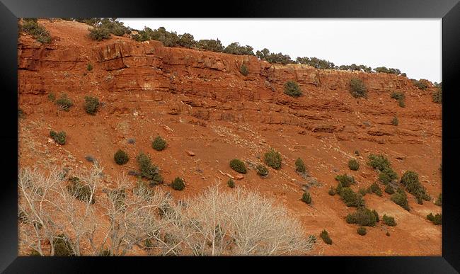 Red sandstone cliff 0646 Framed Print by Don Brady