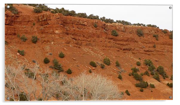 Red sandstone cliff 0646 Acrylic by Don Brady
