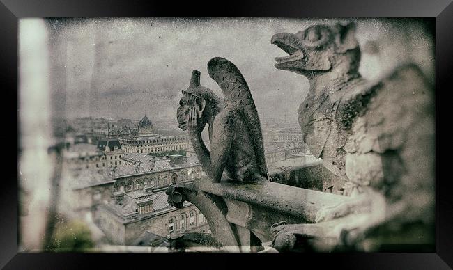 Stryga Gargoyle Notre-Dame Paris Framed Print by Greg Marshall