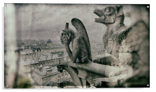 Stryga Gargoyle Notre-Dame Paris Acrylic by Greg Marshall