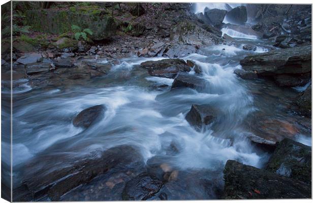 Rushing water Canvas Print by Leighton Collins