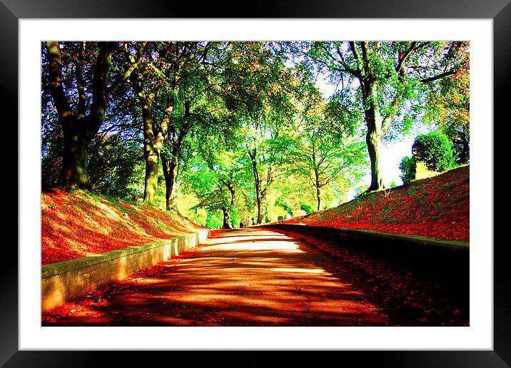 cemetery road Framed Mounted Print by jay clarke