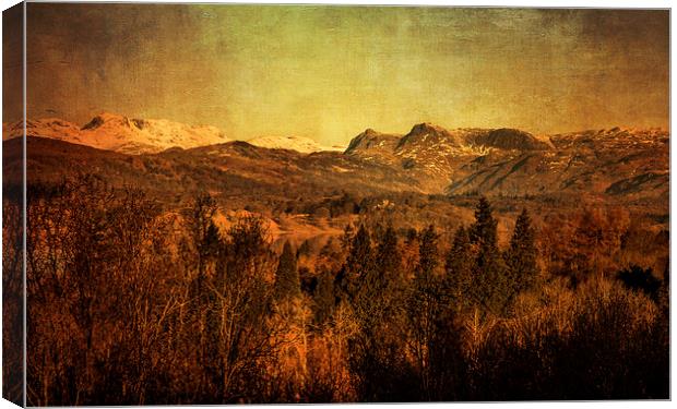 Langdale Pikes - Lake District Canvas Print by Andy McGarry