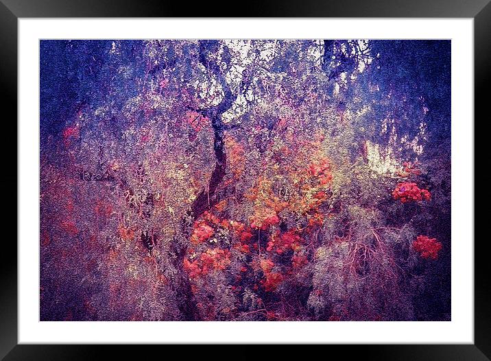 Hidden Garden of Desire Framed Mounted Print by Jenny Rainbow