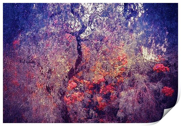 Hidden Garden of Desire Print by Jenny Rainbow