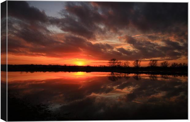 Flooded Field Canvas Print by Simon Drew