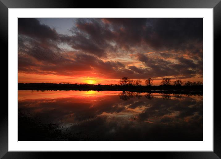 Flooded Field Framed Mounted Print by Simon Drew