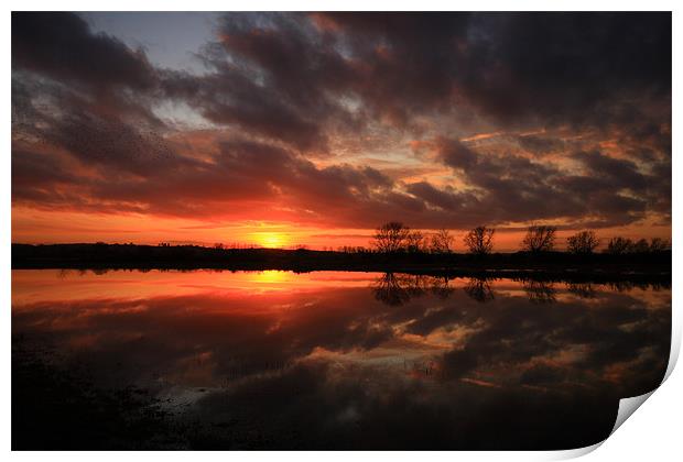 Flooded Field Print by Simon Drew