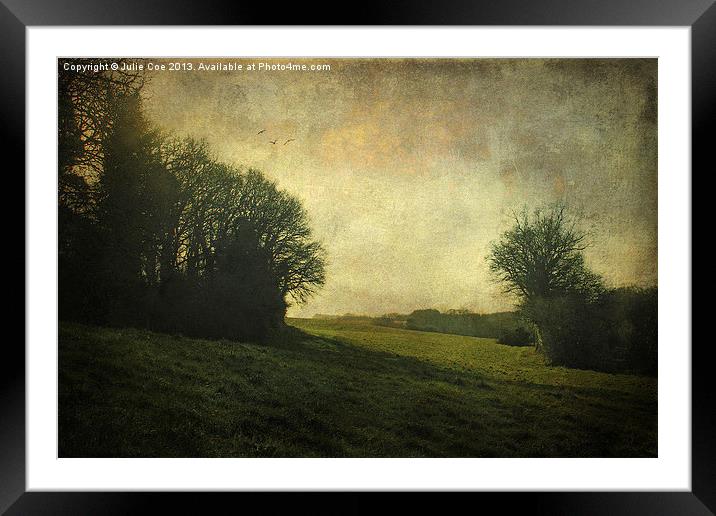 Near The Woods Framed Mounted Print by Julie Coe
