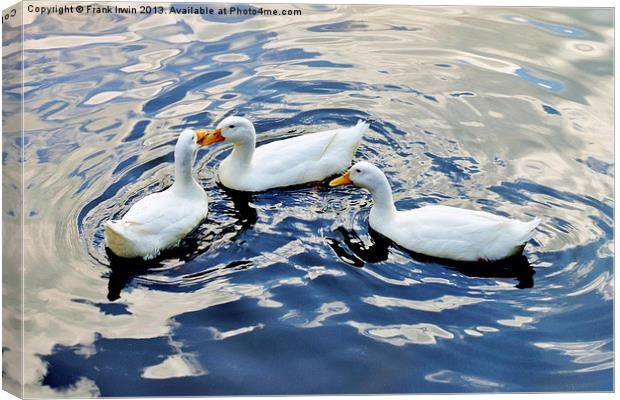 Billing and cooing ducks Canvas Print by Frank Irwin