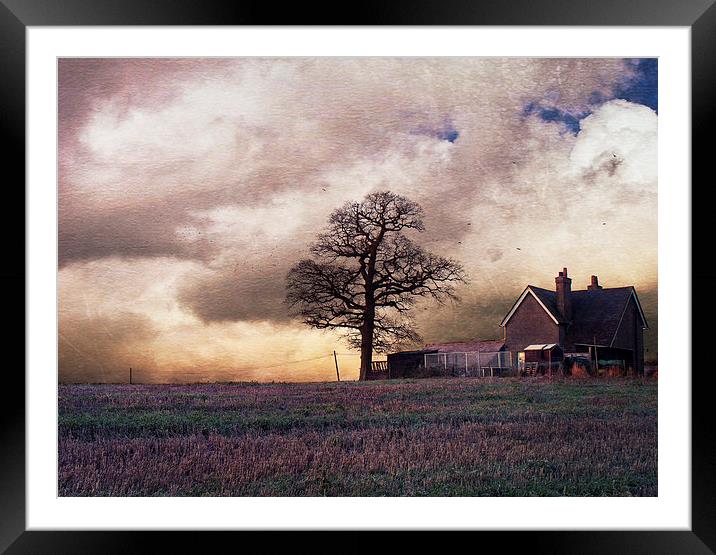 Winter in Kent Framed Mounted Print by Dawn Cox