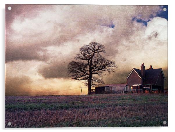 Winter in Kent Acrylic by Dawn Cox