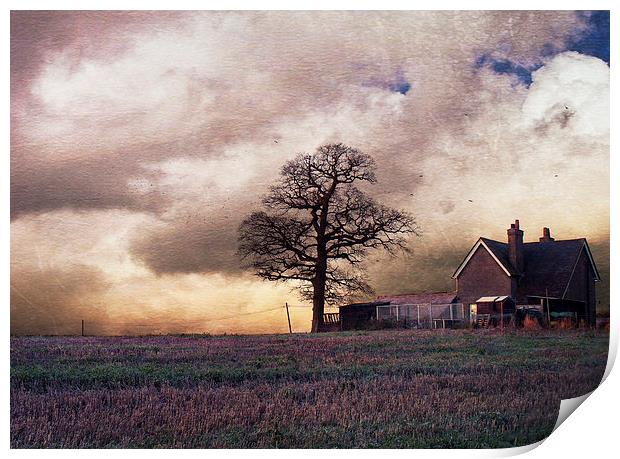 Winter in Kent Print by Dawn Cox