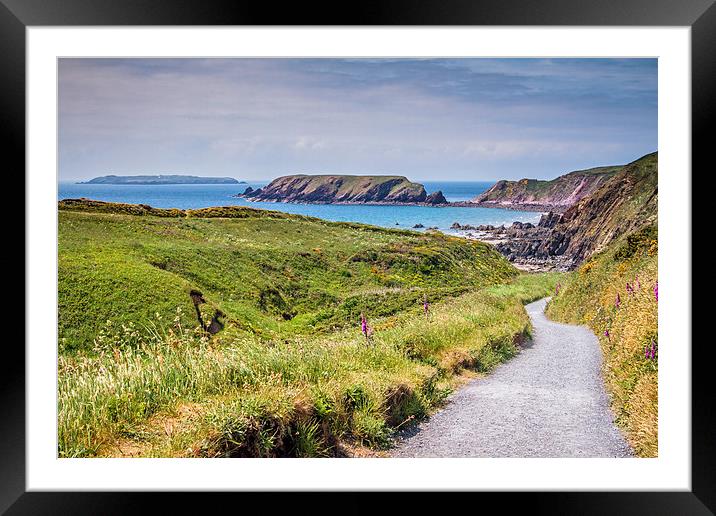 Walk to Dale Beach Framed Mounted Print by Roz Greening