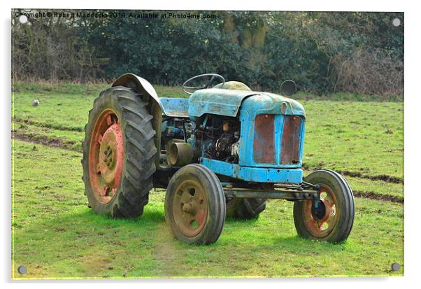 Old Blue Tractor Acrylic by Robert Maddocks