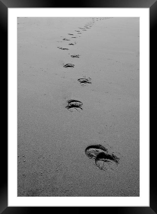 Hoofs in the sand Framed Mounted Print by carolann walker