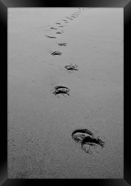 Hoofs in the sand Framed Print by carolann walker