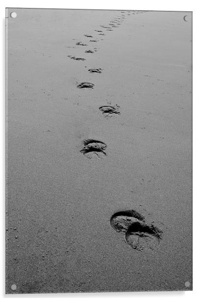 Hoofs in the sand Acrylic by carolann walker