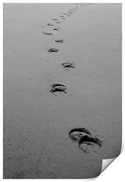 Hoofs in the sand Print by carolann walker