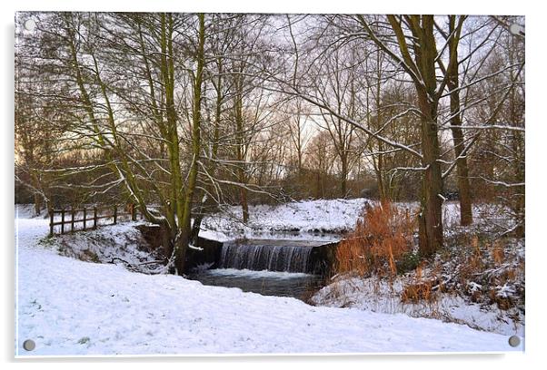 River Pant in Winter snow Acrylic by Diana Mower