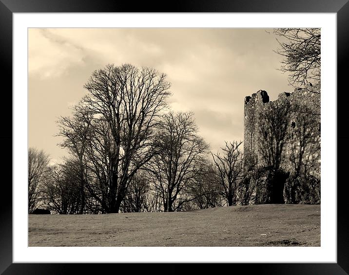 Shadows on the Castle wall Framed Mounted Print by Bill Lighterness