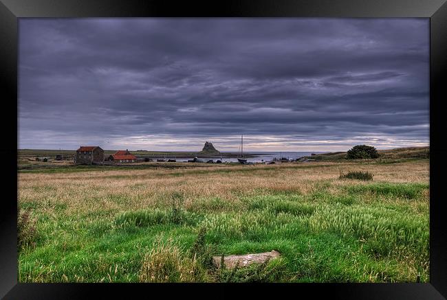 Holy Island Framed Print by Nigel Bangert