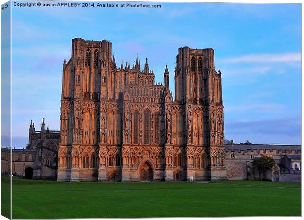 WINTER SUNSET ON WELLS CATHEDRAL Canvas Print by austin APPLEBY